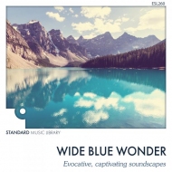 ESL260 WIDE BLUE WONDER