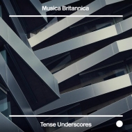 ESL-MB036 TENSE UNDERSCORES