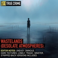911TC082. WASTELANDS (DESOLATE ATMOSPHERES)
