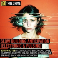 911TC083. SLOW BUILDING ANTICIPATION (ELECTRONIC & PULSING)
